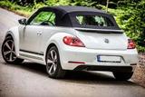 Volkswagen New Beetle Cabrio | Sehr gepflegt | TÜV | Klima - Volkswagen New Beetle