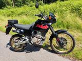Honda NX 650 Dominator RD 02 (Urdomi) - HONDA DOMINATOR