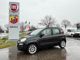 Fiat Panda Lounge TwinAir Klimaauto,DAB,ZV - Fiat Panda Gebrauchtwagen in Düsseldorf