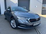 Skoda Octavia Lim. 2.0 TDI Ambition 1Hand - Skoda Octavia: Winterreifen