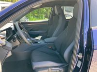 Cupra Terramar - Vorschau Bild 9
