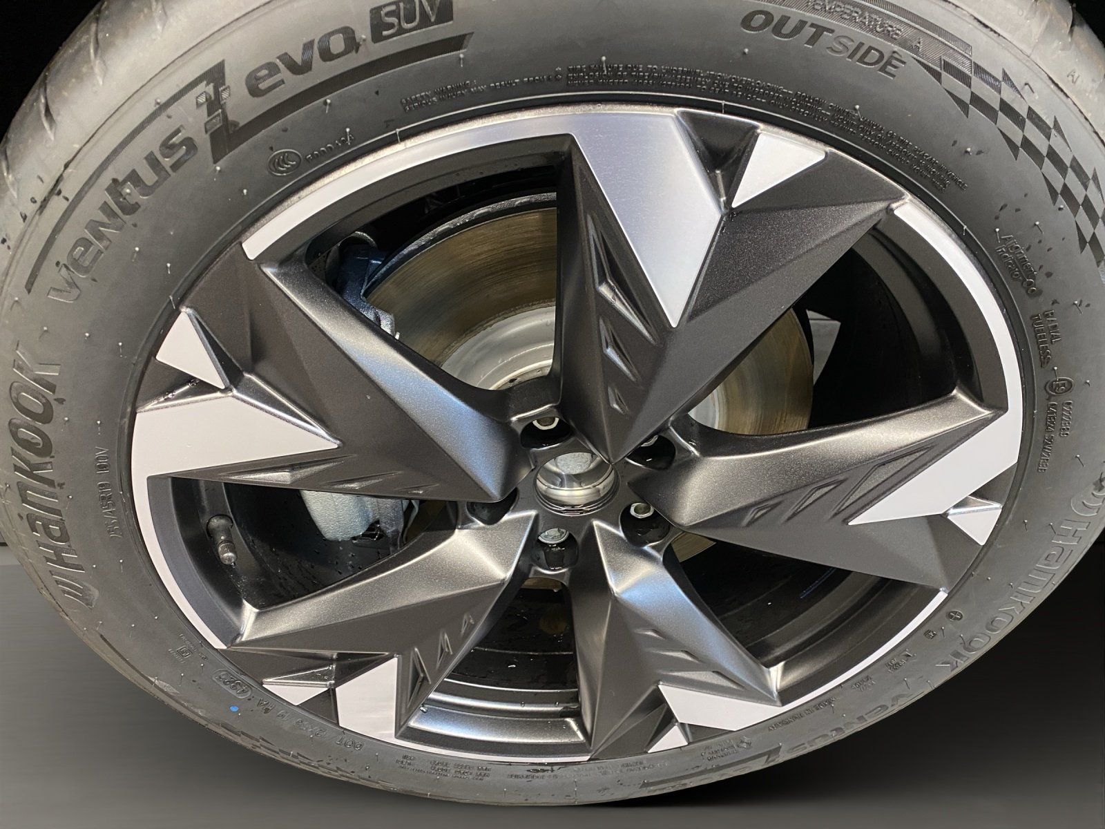 Cupra Terramar - Bild 6
