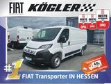 Fiat DUCATO KASTEN 35 L2H1 140D Kamera 35% - Fiat Ducato Gebrauchtwagen in Frankfurt