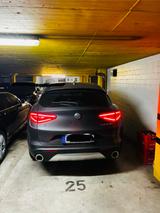 Alfa Romeo Stelvio 2.0 Turbo 16V 147kW AT8-Q4 - - graue Alfa Romeo Stelvio