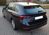 Skoda Octavia 2.0 TDI First Ed. /Zahnriem neu/AHK/Cant - Skoda Octavia Gebrauchtwagen in Rostock
