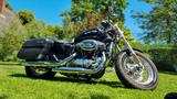 Harley-Davidson Sportster XL 1200 C - Harley-Davidson Motorräder in Lübeck
