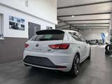 Seat Leon Cupra 290 /LED/19Zoll/Navi/Kamera/Euro6 - Seat Leon: 19