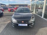 Seat Leon Cupra 300 4Drive Pano Navi Remus Abgasanl. - Seat Leon in Hamm