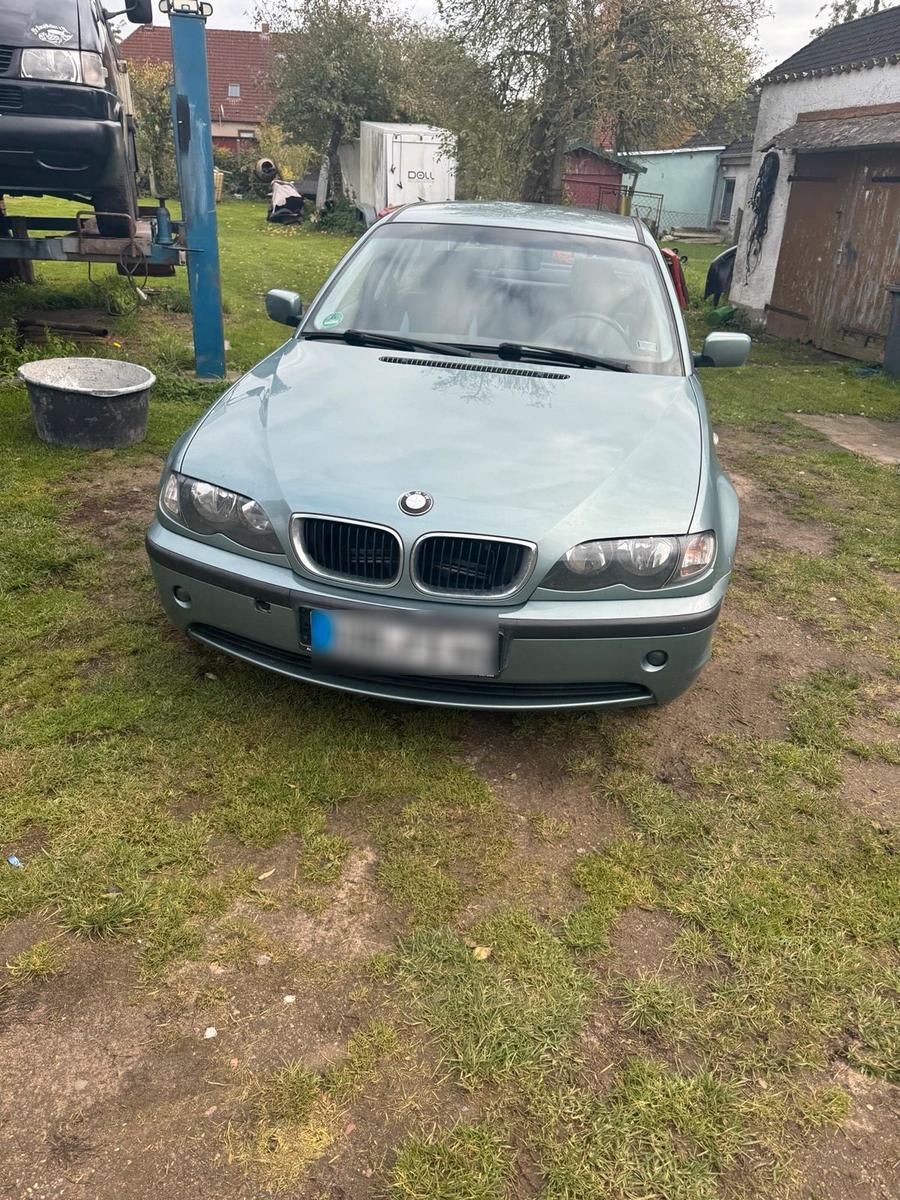BMW 318