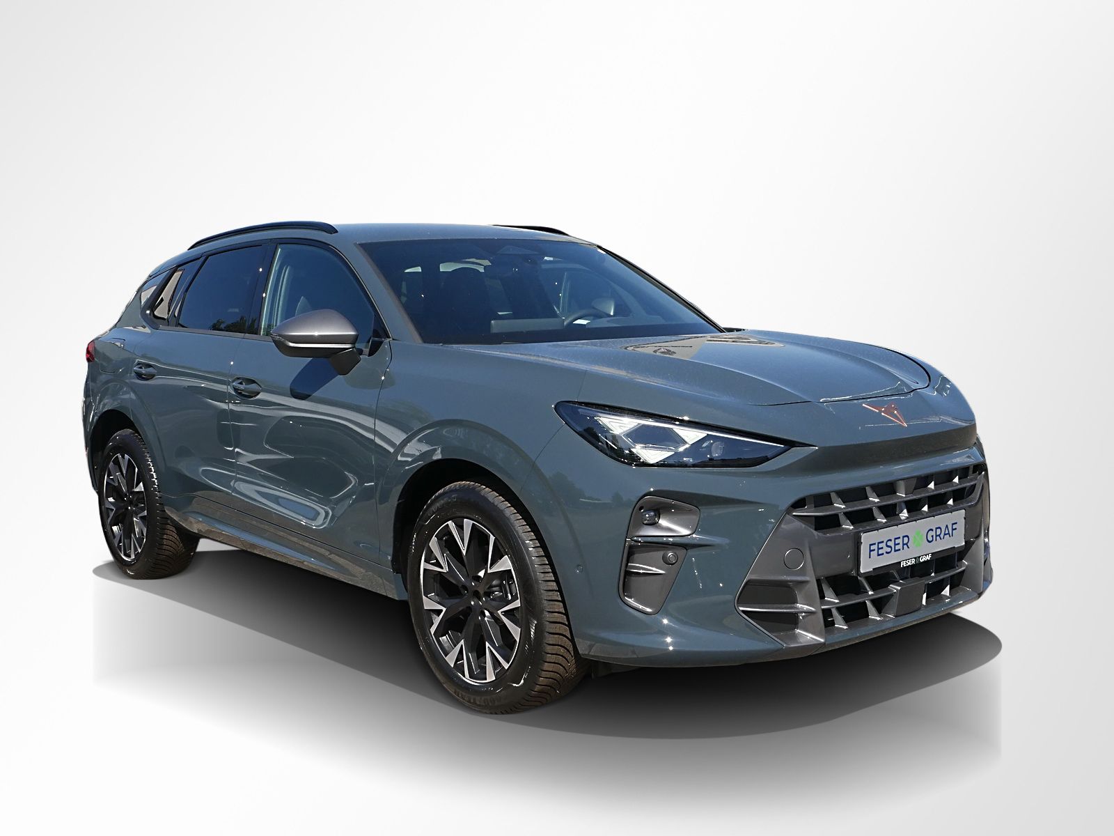 Cupra Terramar - Bild 5