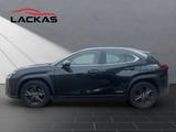 Lexus UX 250h*LAUNCH*SHZ*CD*NAVI* 15J-GARANTIE* - Lexus UX aus 2019