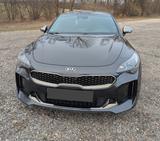 Kia Stinger 3.3 T-GDI AWD GT GT - gebrauchte Kia Stinger aus dem Jahr 2019