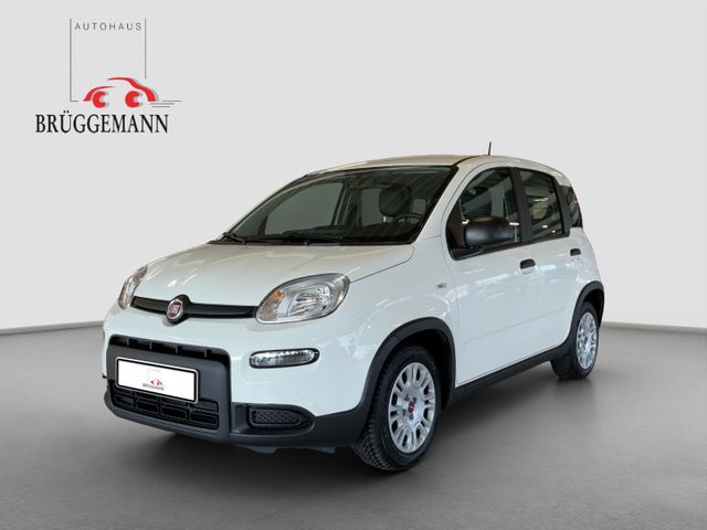 Fiat Panda 1.0 GSE Hybrid + Komfortpaket