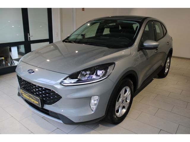 Ford Kuga Cool & Connect 1.5 EcoBlue Sitzhz Dab Apple