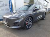 Ford Kuga PHEV ST-LINE X/Pano/AHK/20 Zoll Alu - Ford Kuga Plug-in Hybrid (PHEV) Gebrauchtwagen