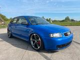 Audi S3 8L *LiftKit*Carbon*Nogaroblau*Viel... - gebrauchte Audi S3 aus dem Jahr 2001