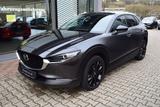 Mazda CX-30 2.5 140PS 6AG Homura Kamera Voll-LED Navi  - Mazda: V6