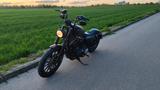 Harley-Davidson Sportster 883 / 1200 - HARLEY-DAVIDSON 883