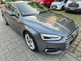 Audi A5 40 TDI S tronic Sportback s /super gepflegt - Audi A5 Gebrauchtwagen in München