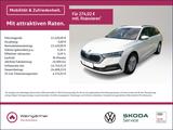 Skoda Octavia Combi Ambition 4x4 2.0 TDI, Business Col - Skoda Octavia: Business