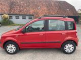 Fiat Panda TÜV 11/25 - Fiat Panda Gebrauchtwagen in Braunschweig