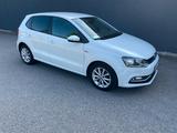 Volkswagen Polo 1.4 TDI 66kW LOUNGE BMT - Volkswagen Polo: 1l4 TDI