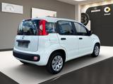 Fiat Panda More City Paket Klimaanlage Neue Kupplung - gebrauchte Fiat Panda aus dem Jahr 2012