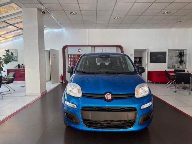 Fiat Panda 1.0 GSE Hybrid ICON