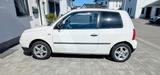 Volkswagen Lupo 1.0 BASIS Basis - VW Lupo Gebrauchtwagen