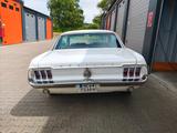Ford Mustang - gebrauchte Ford Mustang aus dem Jahr 1968