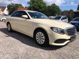 Mercedes-Benz E 200 d Autom. - Mercedes-Benz E 200 mit Diesel-Antrieb: Taxi, Limousine