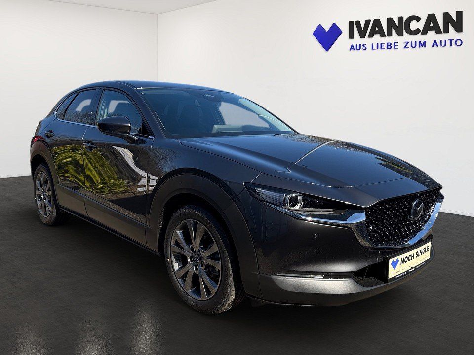 Fahrzeugabbildung Mazda CX-30 X 2.0i 186PS Exclusive
