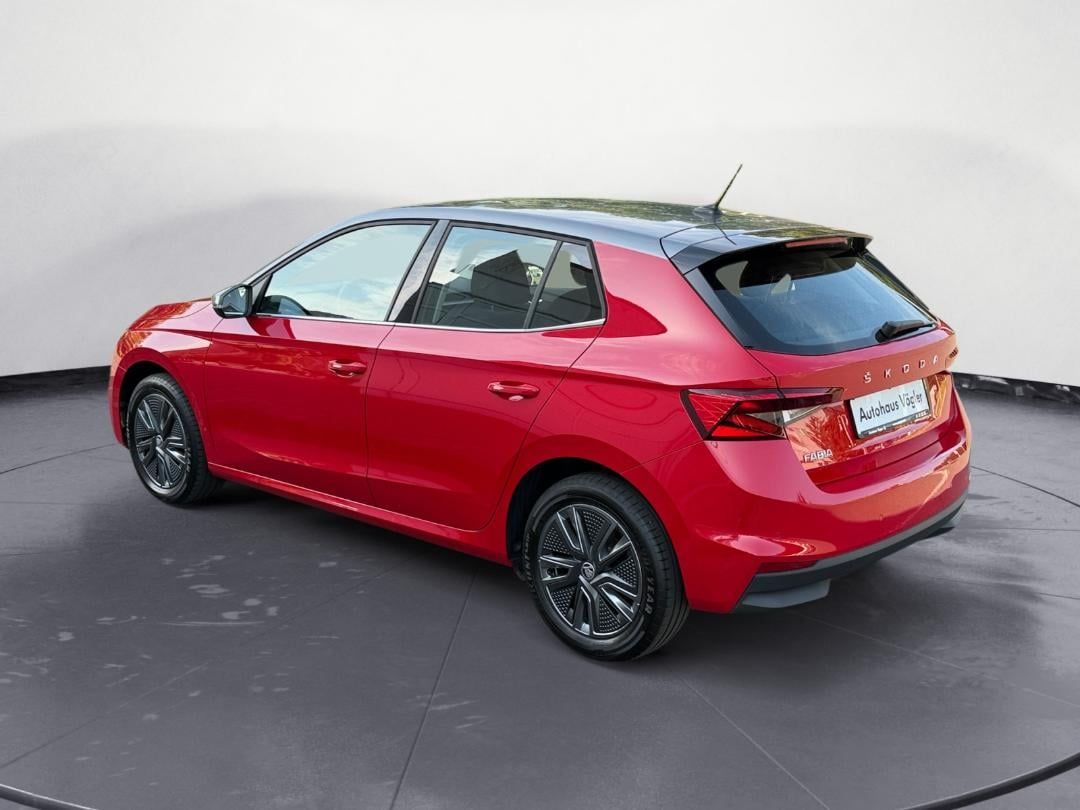 Fabia Style
