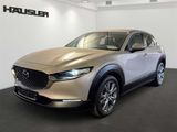 Mazda CX-30  2.0 M Hybrid Selection Automatik LED Navi - Mazda CX-30 in München