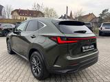 Lexus NX 450 h+ E-Executive.HUD.LED.P-Dach.360K.MY26 - Lexus NX-Serie Plug-in Hybrid (PHEV) Gebrauchtwagen