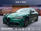 Alfa Romeo Giulia Quadrifoglio ORO*Akrapovic - Alfa Romeo Giulia Akrapovic Gebrauchtwagen