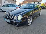 Mercedes-Benz CLK 430 AVANTGARDE!AMG-DESIGNO-PAKET! - Mercedes-Benz: Clk AMG Paket