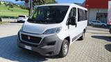 Fiat FIAT DUCATO 2.3 MJT 150CV AUTOVETTURA 9 POSTI - Fiat Ducato: 15