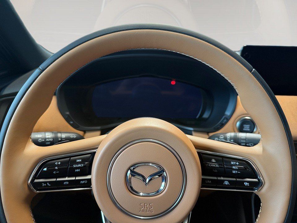 Fahrzeugabbildung Mazda CX-60 3.3d 254PS AWD Homura Plus TLOP