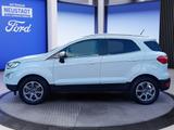 Ford Ecosport 1.0 Titanium *WinterPk*Rückfahrkamera* - Autos mit Tageszulassung