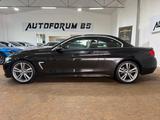 BMW Cabrio 420d AUTOMATIK/VOLLLEDER/GRA/SHZ/BI-XENON - BMW 420: Cabrio