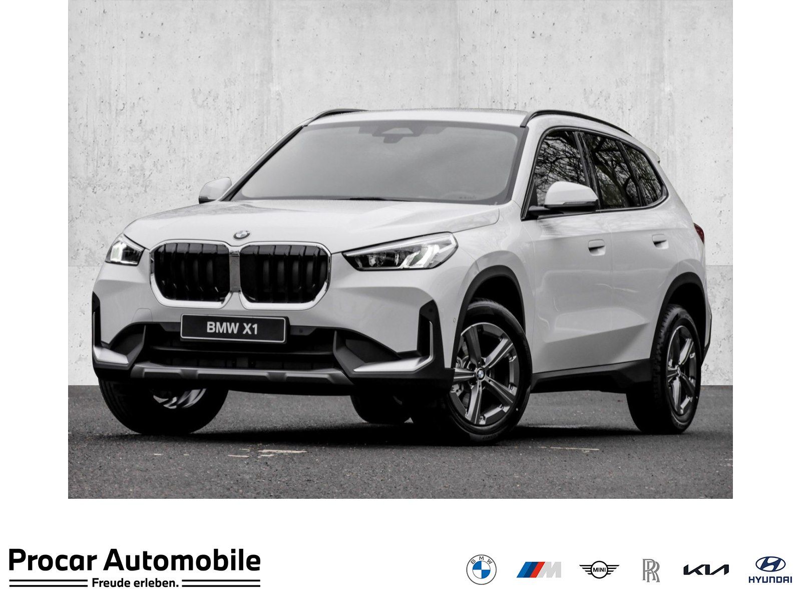 BMW X1 sDrive18i AHK RFK NAVI LED Sound Syst. DAB
