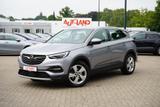 Opel Grandland X 1.2 Kamera Totwinkel Android Apple - Opel Grandland (X) aus 2020