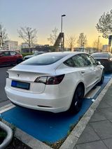Tesla Model 3 Standard-Reichweite Plus - Hinterrad... - Tesla Model 3 in Frankfurt (Main)