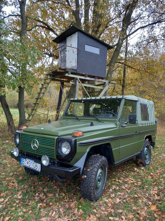 Mercedes-Benz G 250
