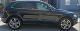 Audi Q5 2.0 TDI Quattro S-tronic AHK PANO XENON LEDER - Audi Q5 in Lübeck