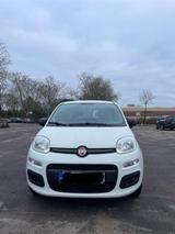 Fiat Panda 1.2 Klima  - Fiat Panda in Ludwigshafen