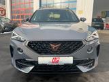 Cupra Formentor VZ 4Drive 2.0 TSI 4Drive - Cupra Formentor aus 2020