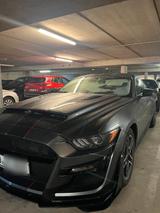 Ford Mustang Shelby Optic 2016  3,7L V6 ... - Ford Mustang Gebrauchtwagen in Dortmund