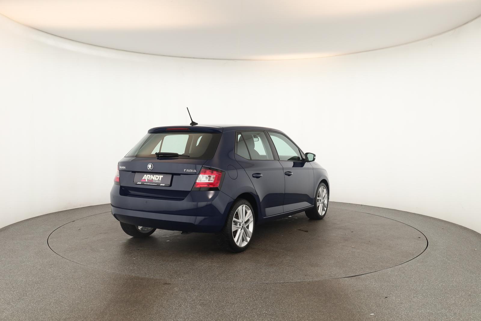 Skoda Fabia 1.0 TSI DSG Style Klima DAB SHZ ACC PDC 17